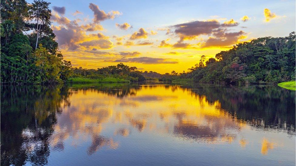 Yasuni National Park