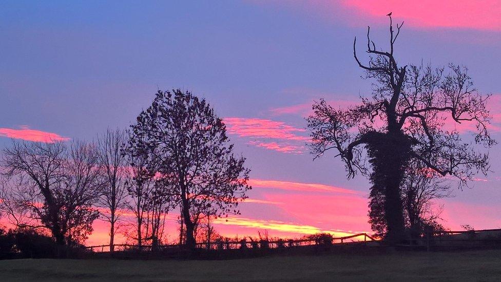 Pink and purple hazes in Southam, Warwickshire