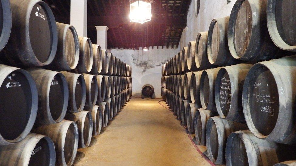 Casks of sherry at Gonzalez-Byass