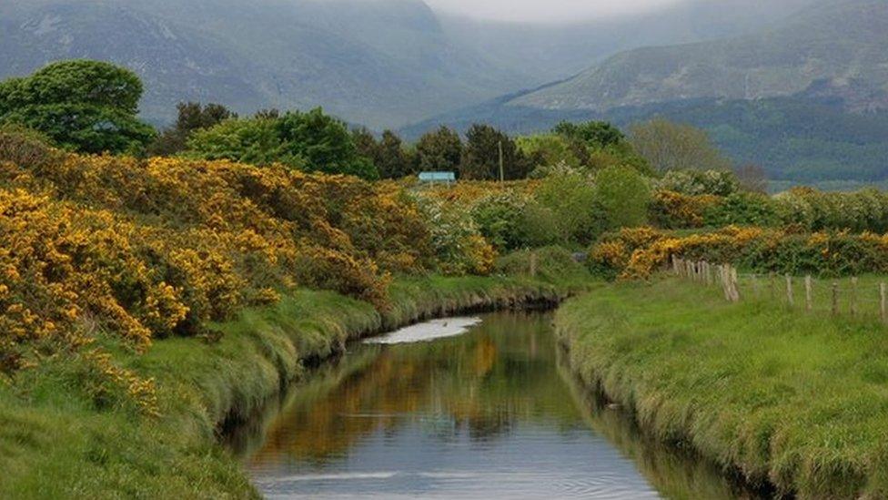 Carrigs River