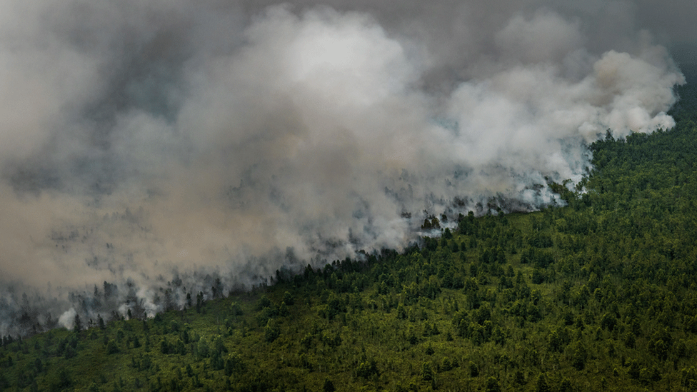 An aerial view of peatland and forest on fire in Indonesia