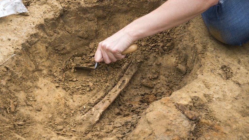 A human bone is excavated in a dig at the Mont-Saint-Jean field hospital.