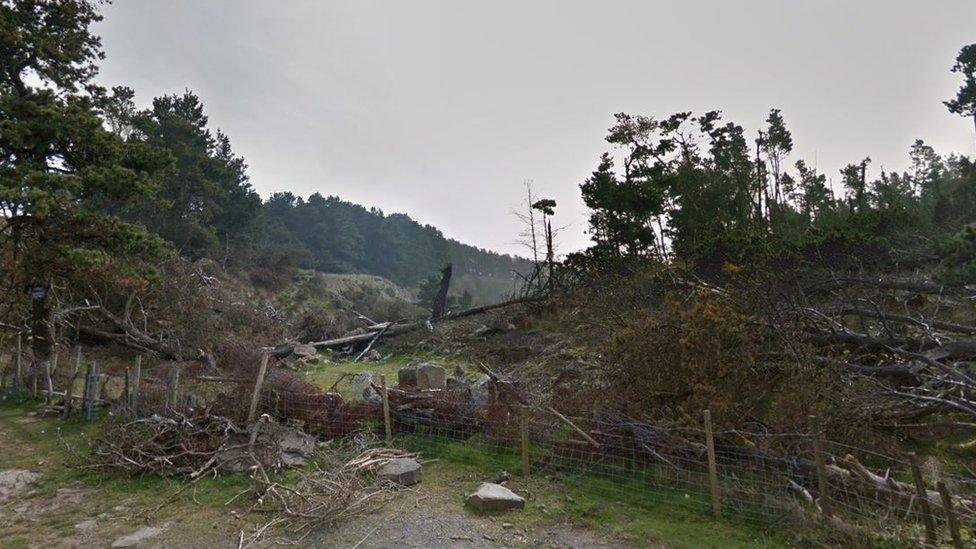 The entrance to The Canyons where trees have been uprooted