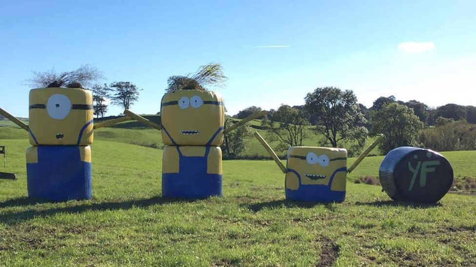 Hay bale art