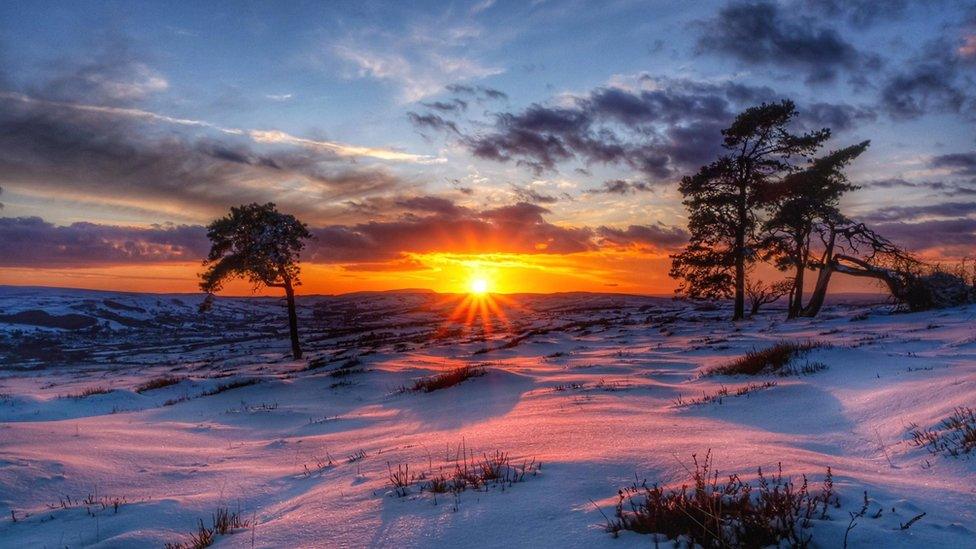 The bright golden sun is setting in the middle of the photo, with a blue sky above and snowy fields in the foreground