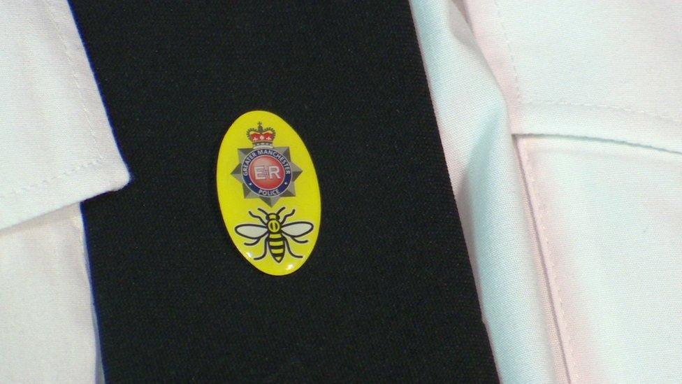 Manchester bee tie pin