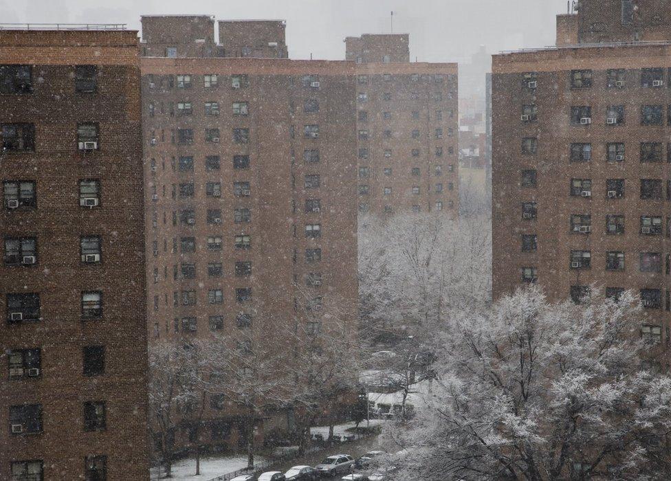 New York city public housing