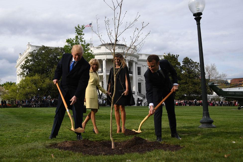 Trump and Macron plant a tree from Belleau Woods