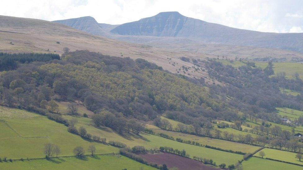 View of the Brecon Beacons from Allt yr Esgair