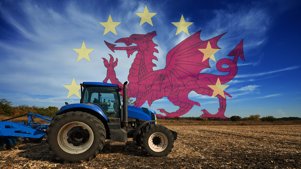 Wales, the EU and farming