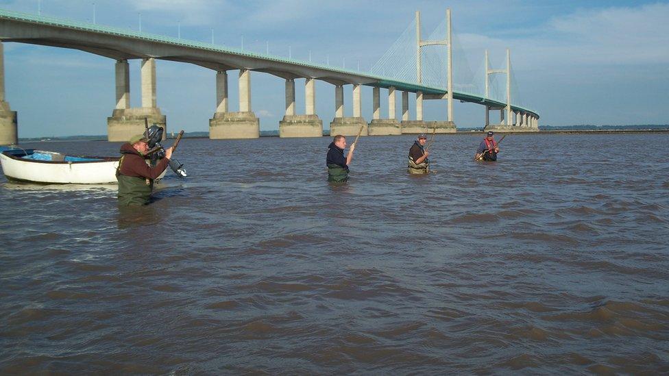 Black Rock Lave Net Fisheries fishermen in the Severn Estuary