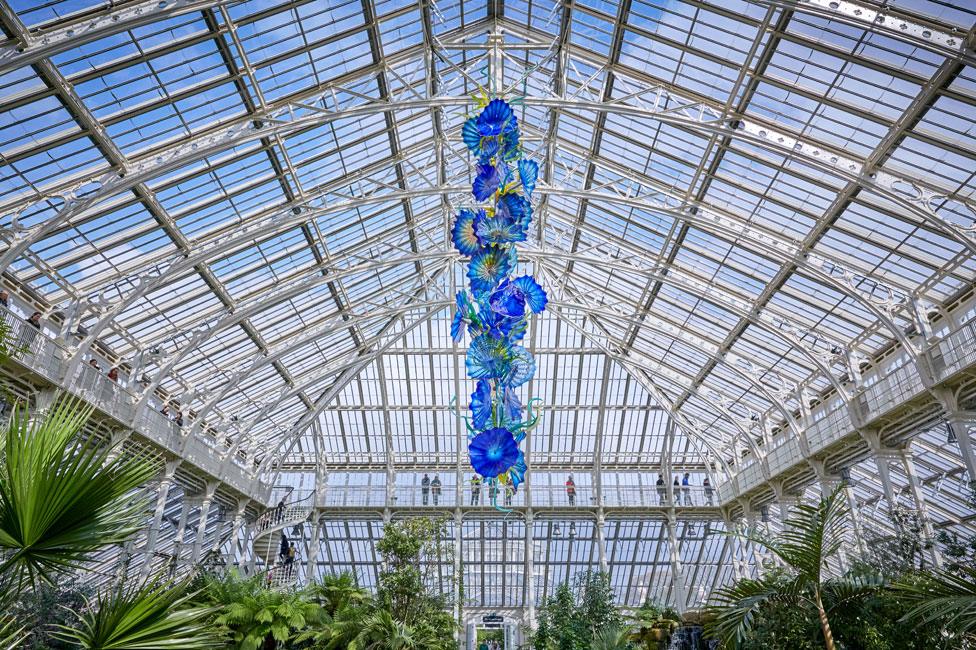 Temperate House Persians, 2019