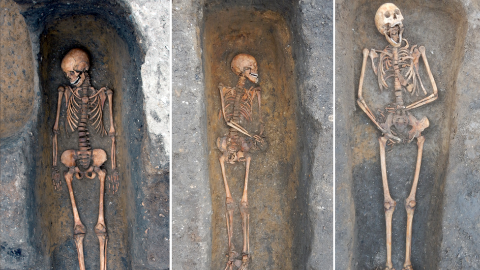 Skeletons from the Augustinian friary