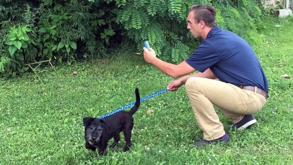 Muncie Animal Shelter walking dogs