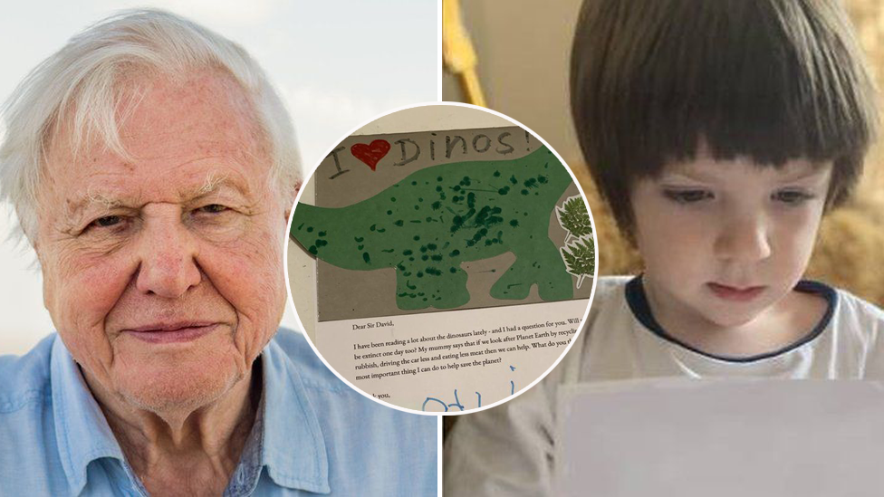 David Attenborough, Otis's letter and Otis