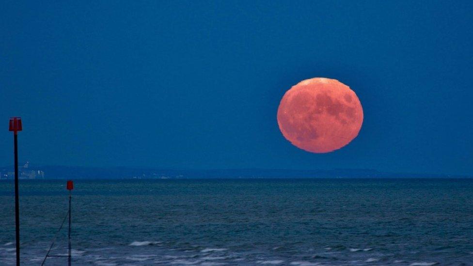 Moon rising over Bognor captured by Dulcie Levett