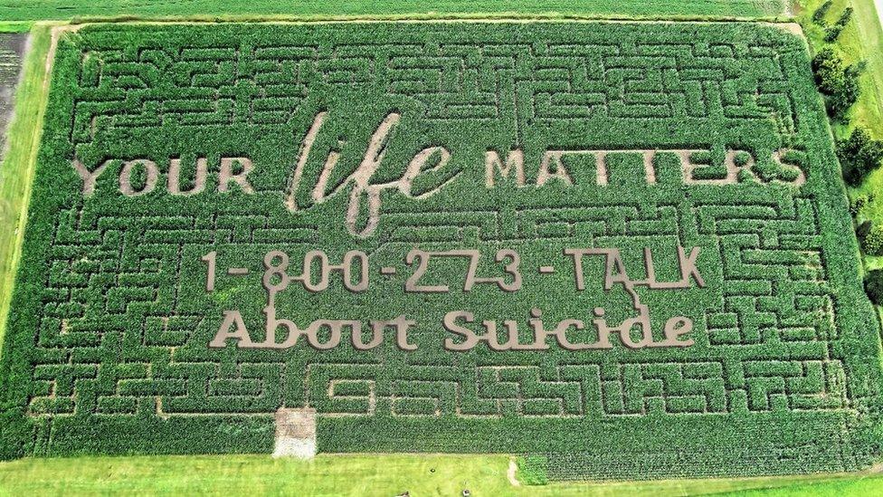 A corn maze with the words "your life matters, talk about suicide" grown into the design