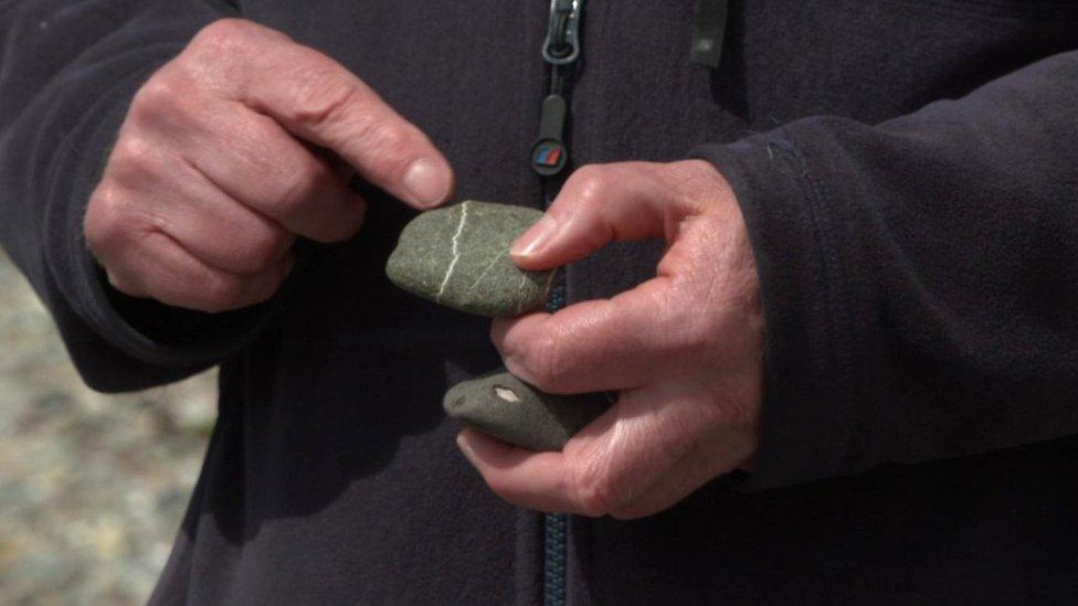 Professor Parnell showing signs of life in rocks on the beach on Millport