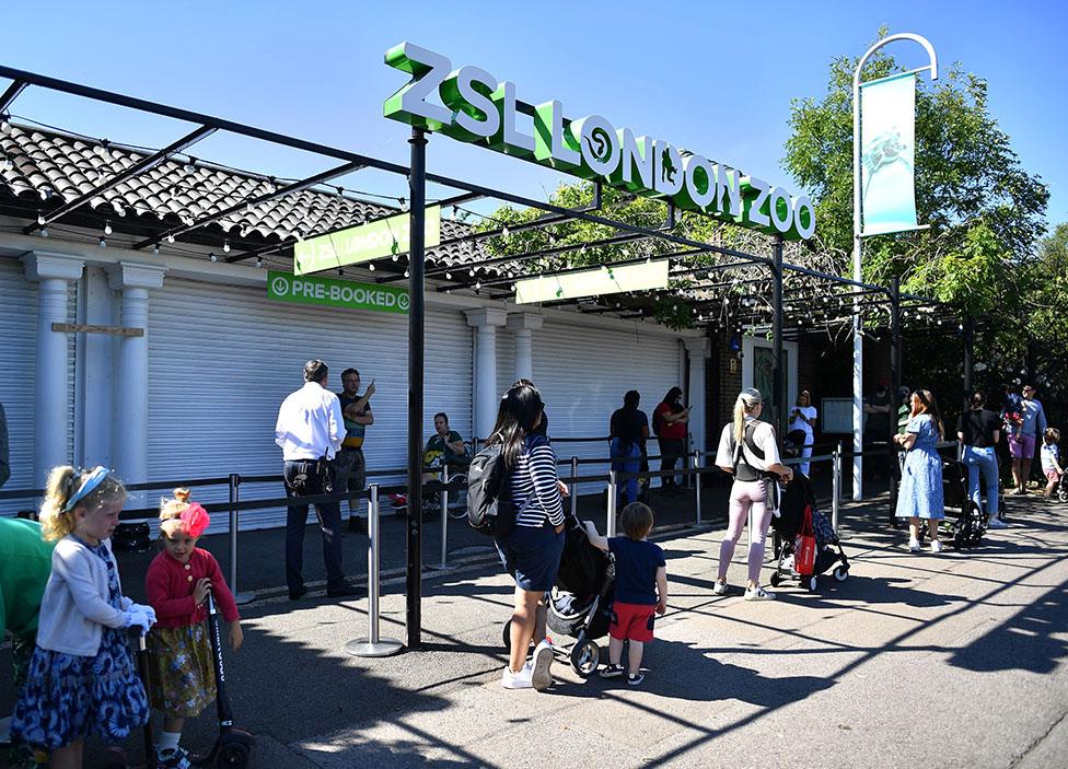 Visitors queue to enter London zoo