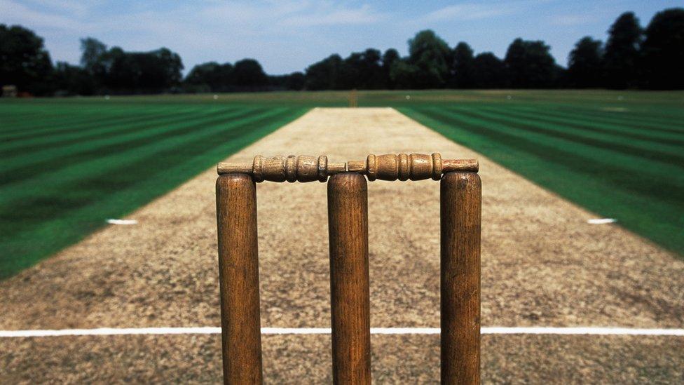 Cricket pitch