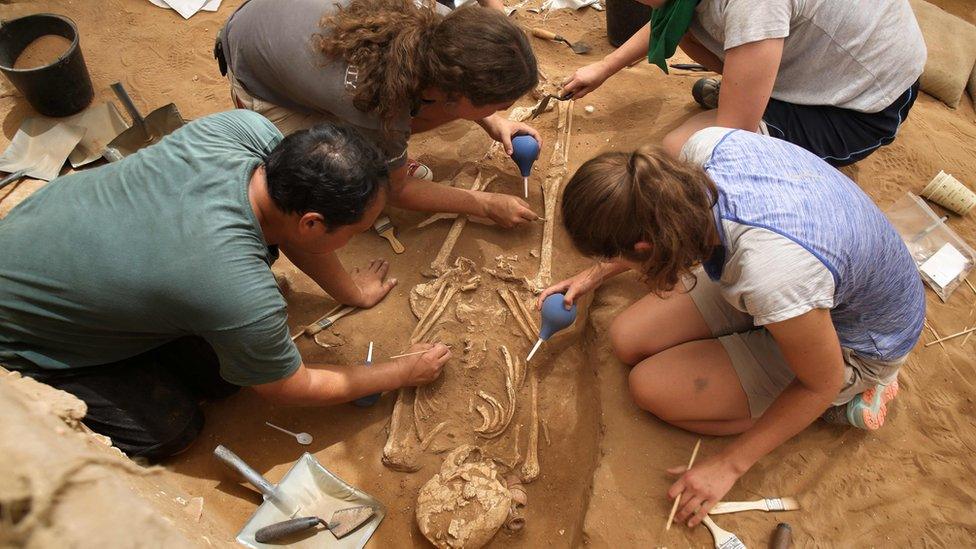 A team of foreign archaeologists extract skeletons at the excavation site of the first Philistine cemetery ever found on June 28, 2016