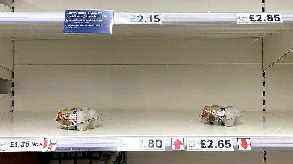 Supermarket shelves look bare due to egg shortages