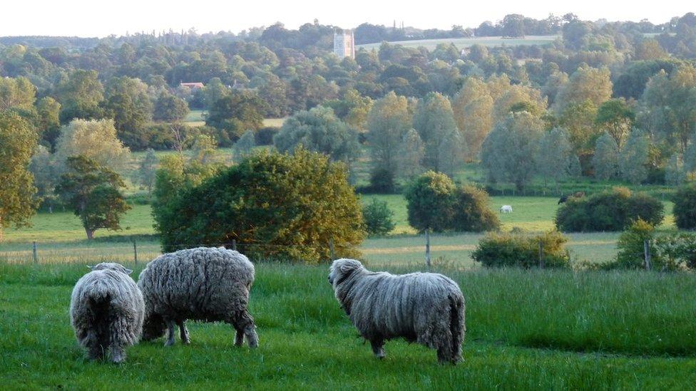 Dedham Vale, Essex