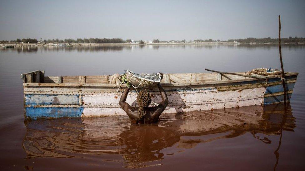 Toure, a Gambian salt harvester, holds a basket filled with the salt harvested from the crust of the bottom of the Lake Retba (Pink Lake) in Senegal on March 16, 2021. - Lake Retba, divided from the Atlantic Ocean by a narrow corridor of dunes, owes its name to the pink waters caused by the Dunaliella salina algae and is known for its high salt content, up to 40% in some areas.