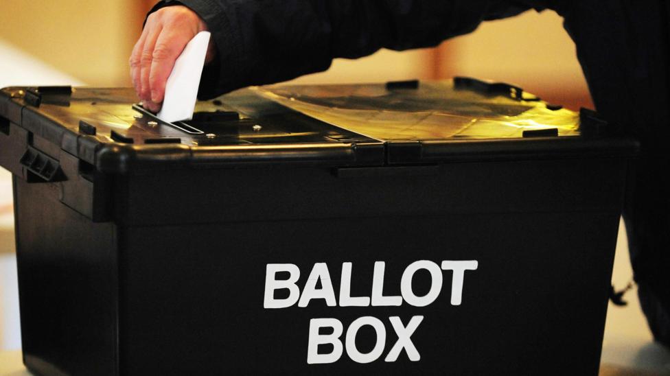 A bin, two foxes and a mystic: the candidates fighting Clacton