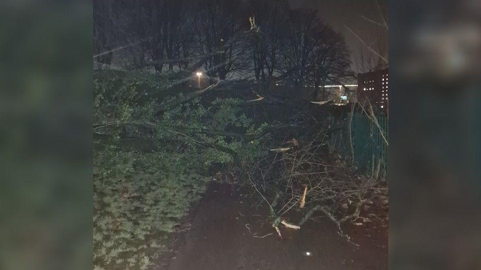 A picture, taken in the dark, of a large fallen branch blocking a cycle path. 