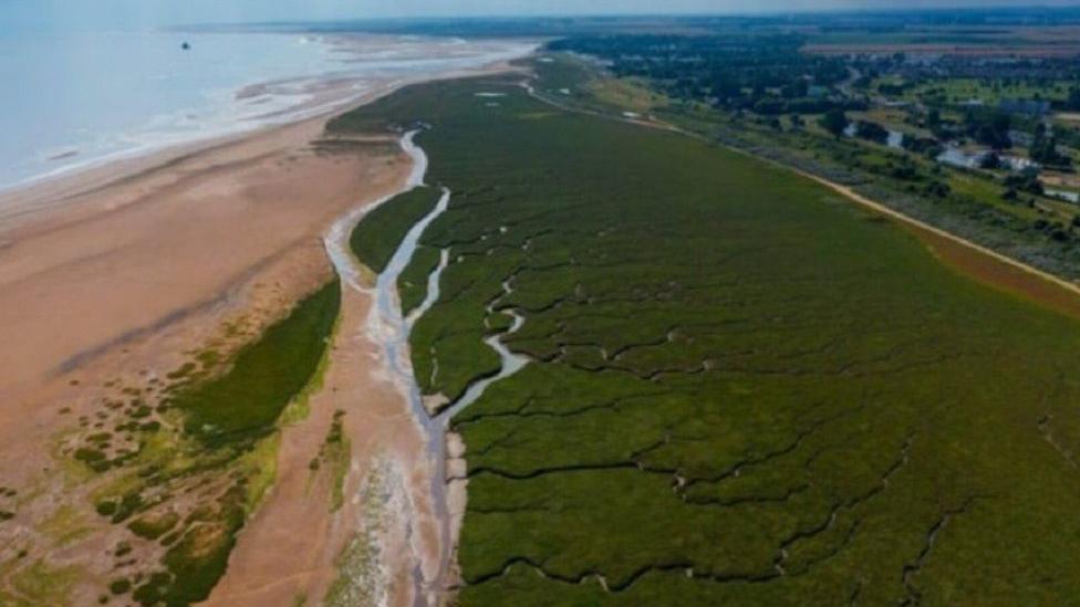 An aerial view of the Humber Estuary salt marshes at Cleethorpes with green marshes to the right and golden sands to the left, stretching towards the waterline.