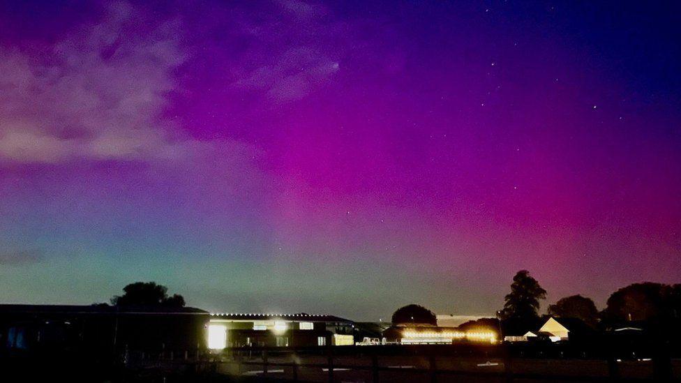 Length of buildings lit up with silhouetted trees and sky green from bottom turning purple and pink above 