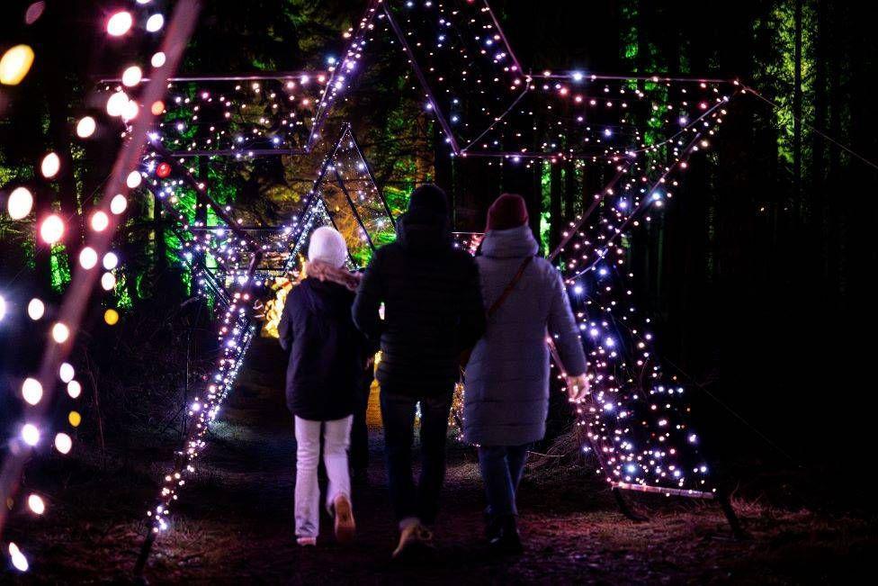 People walking through lights in the shape of a star in a dark wood.