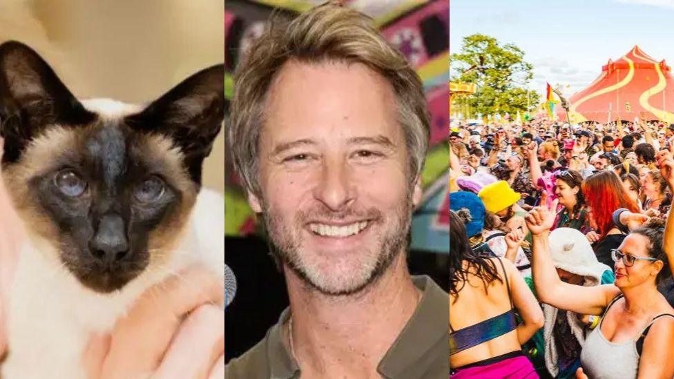 Montage: close up of a Siamese cat,  singer Chesney Hawkes and people dancing at a festival with a tent behind