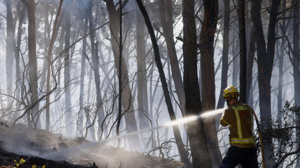 Twelve die in wildfire in Spain as heatwave continues in southern Europe