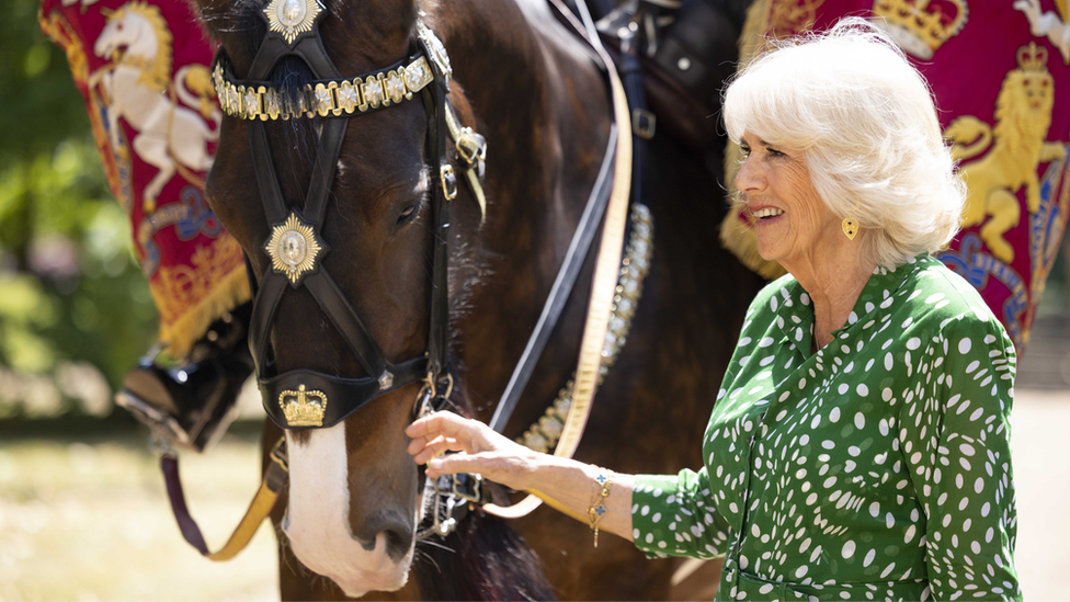 Camilla and horse 