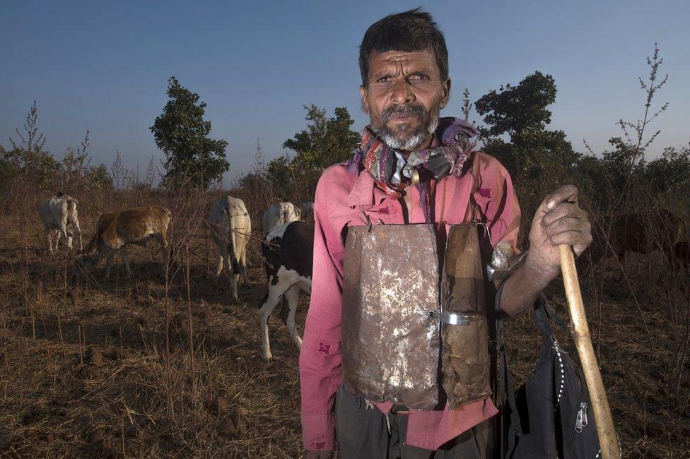 Cattle herders are wearing shields in the jungle