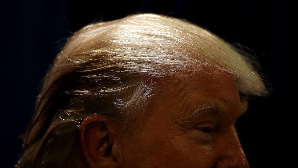 Donald Trump's hair