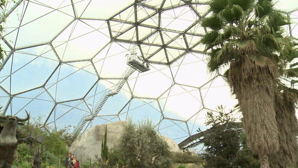 Inside Eden Project biome