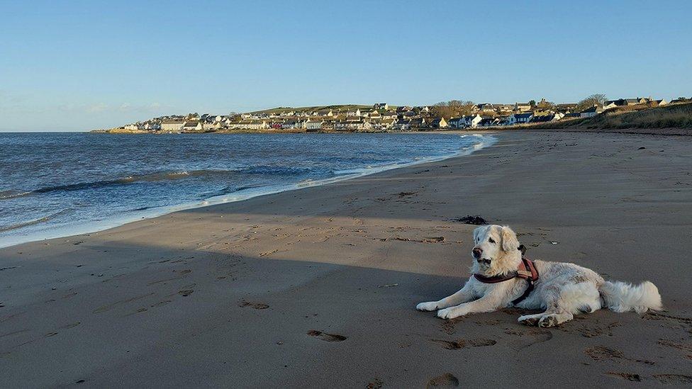 Beach at Portmahomack