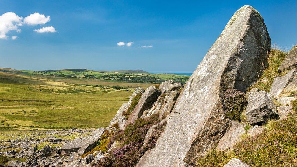 Preseli countryside