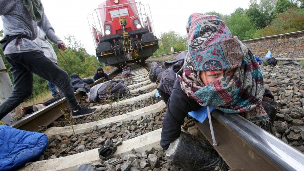 Environmentalists block railway tracks and stop a train loaded with new Volkswagen cars that has left the Volkswagen plant in Wolfsburg, northern Germany, on August 13, 2019