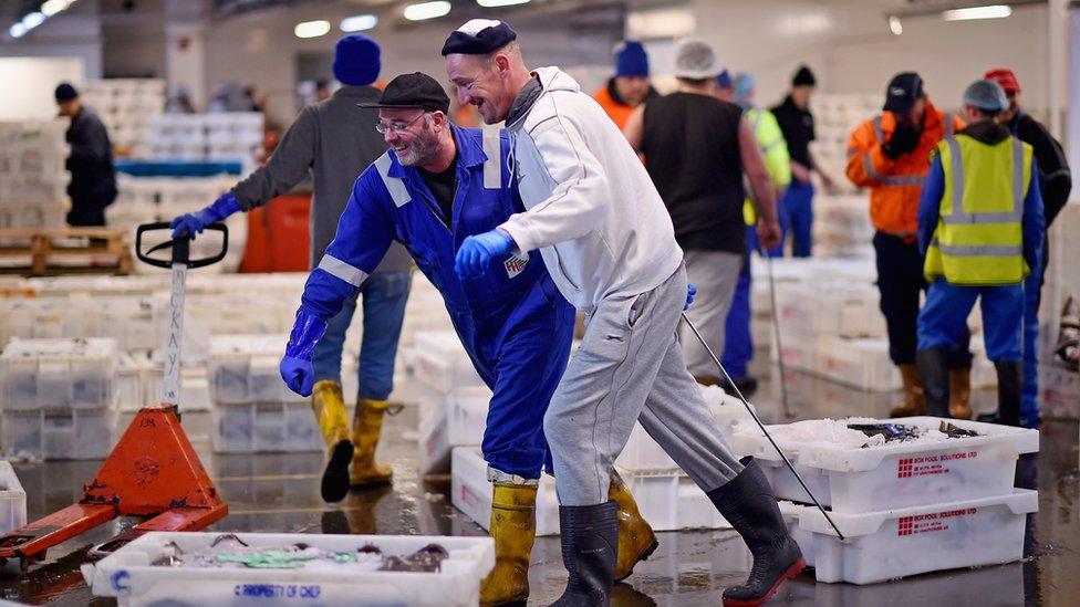 Peterhead fish market