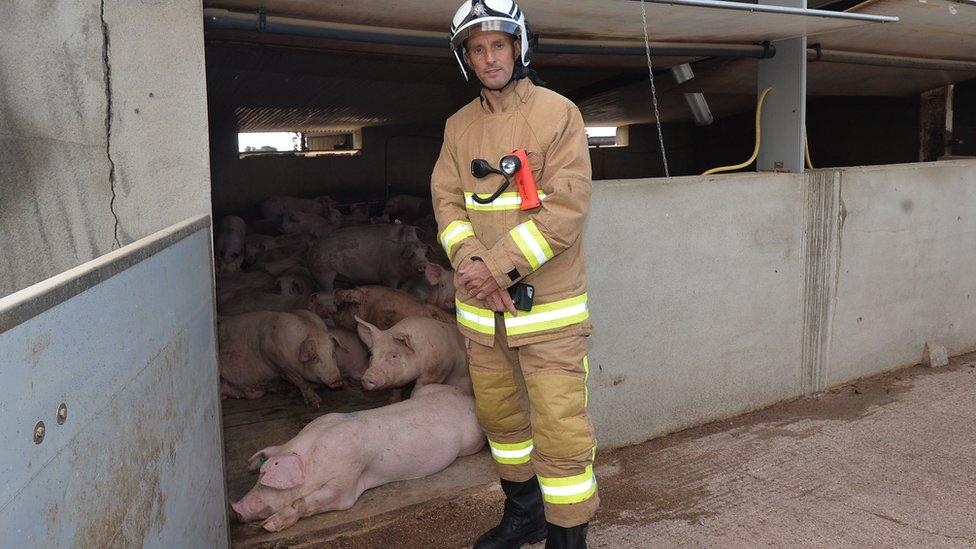 One of the firefighters who helped to save the farmer's bacon