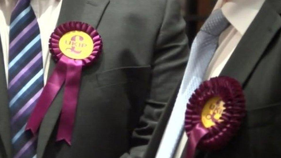 UKIP candidates