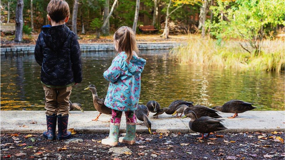 two children feeding ducks