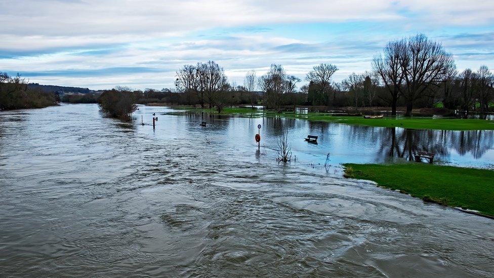 SATURDAY - River Thames between Pangbourne and Whitchurch