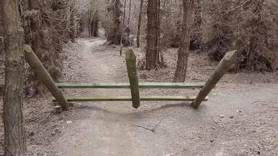 Three large wooden posts protrude from a frame set across a cycle track in the woods