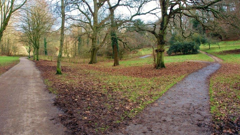 Yeovil Country Park, Ninesprings