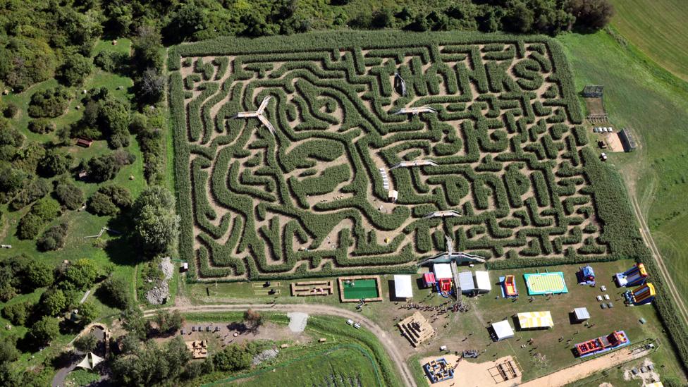 One of Adrian Fisher's cornfield mazes